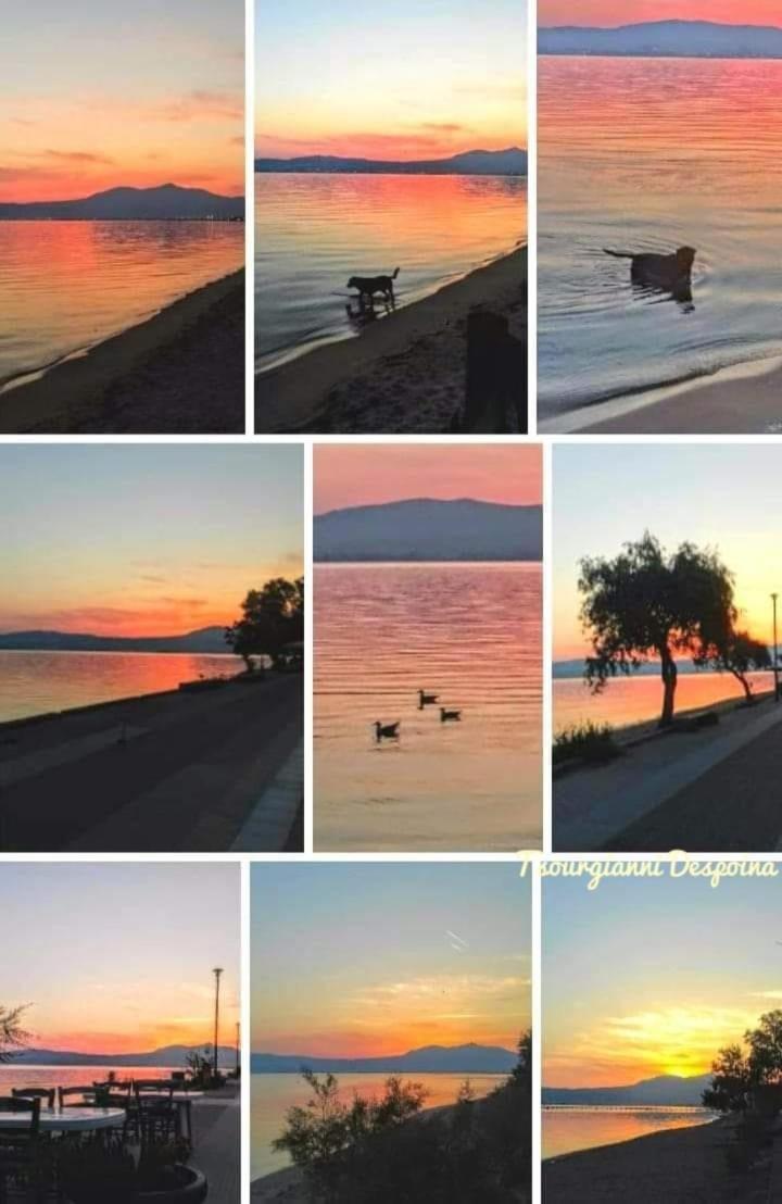 Seashell Apartman Peraía Kültér fotó